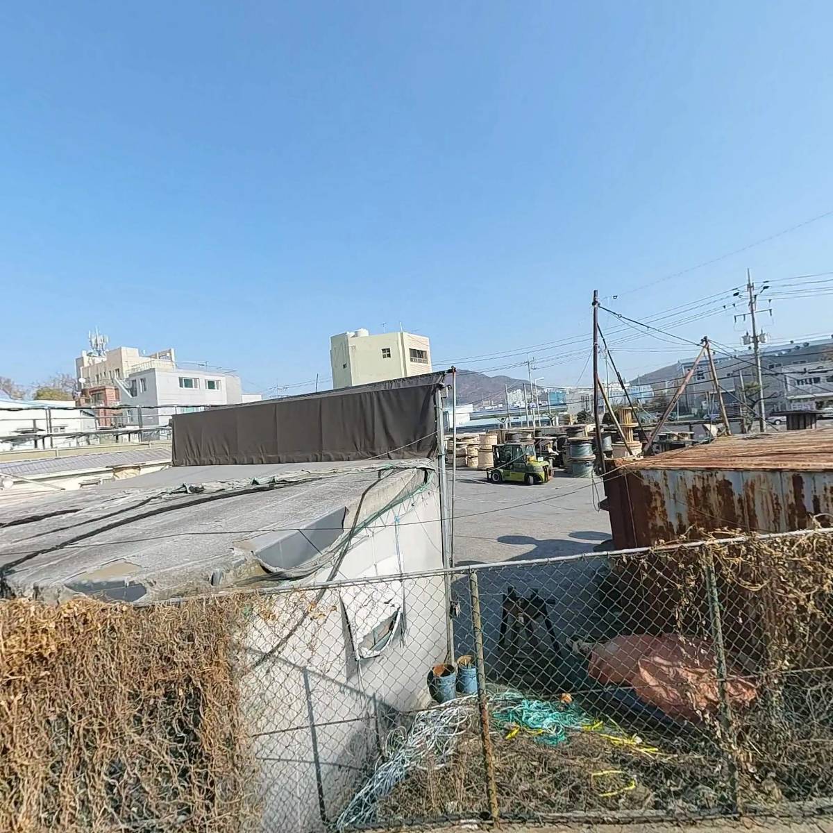 한성금박