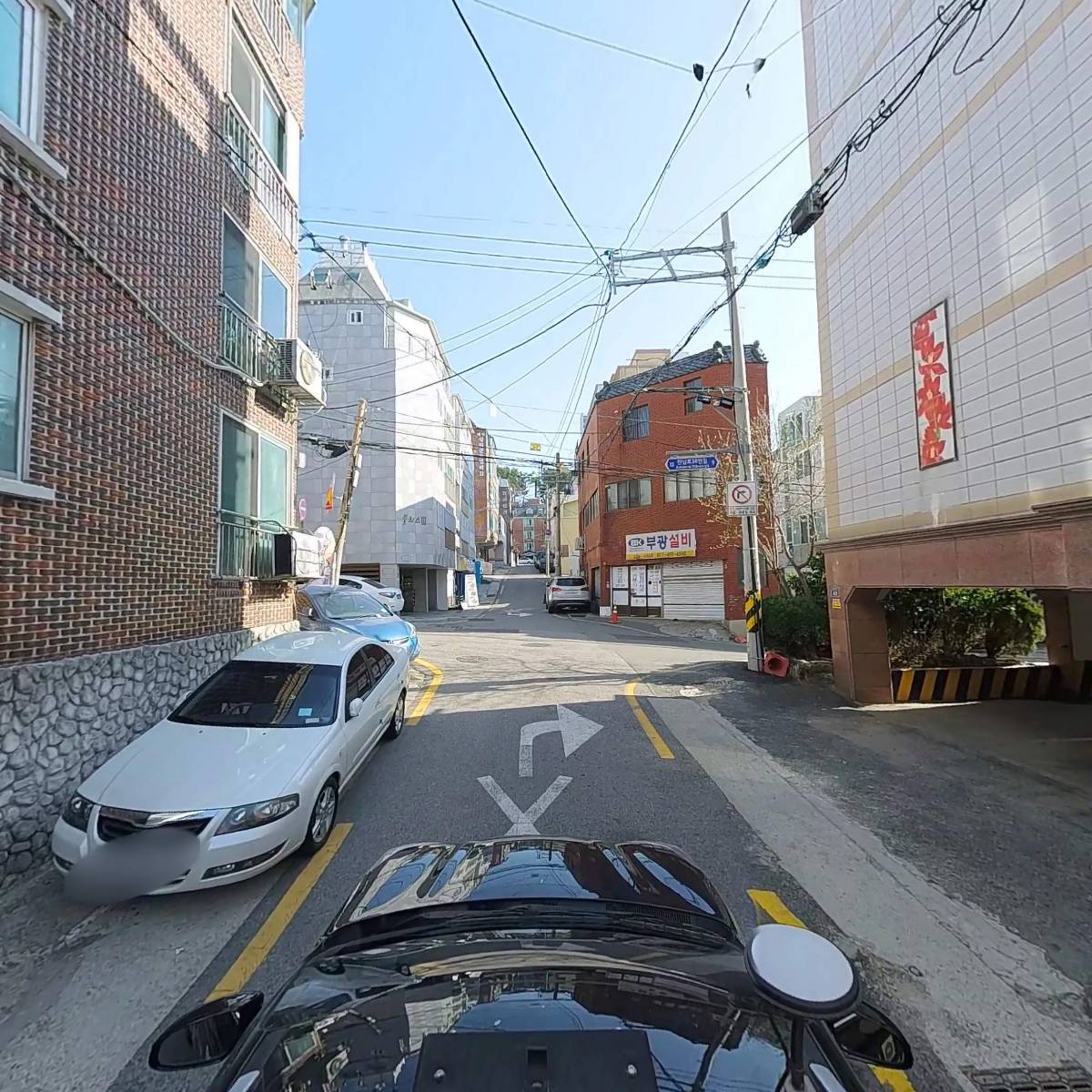 애니멀랜드_4