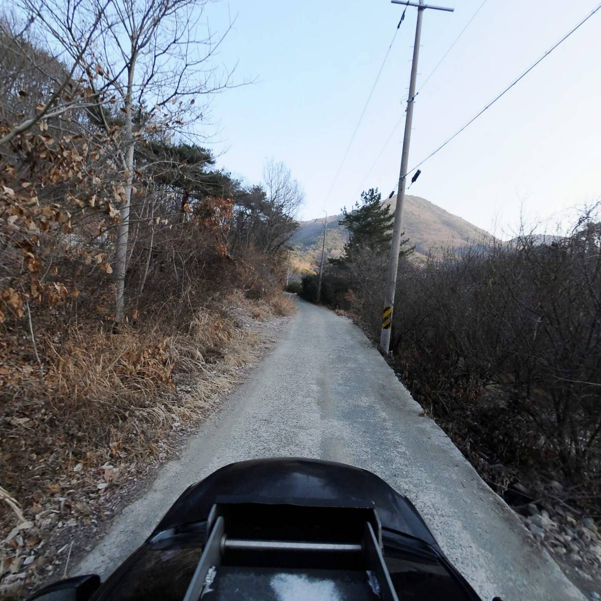 내안의블루베리_4