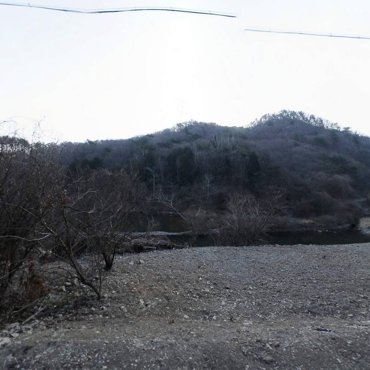 내안의블루베리