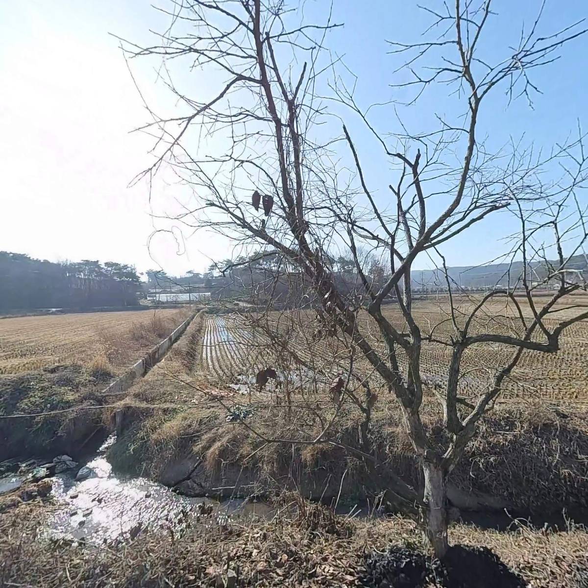 천수만행복마을학교