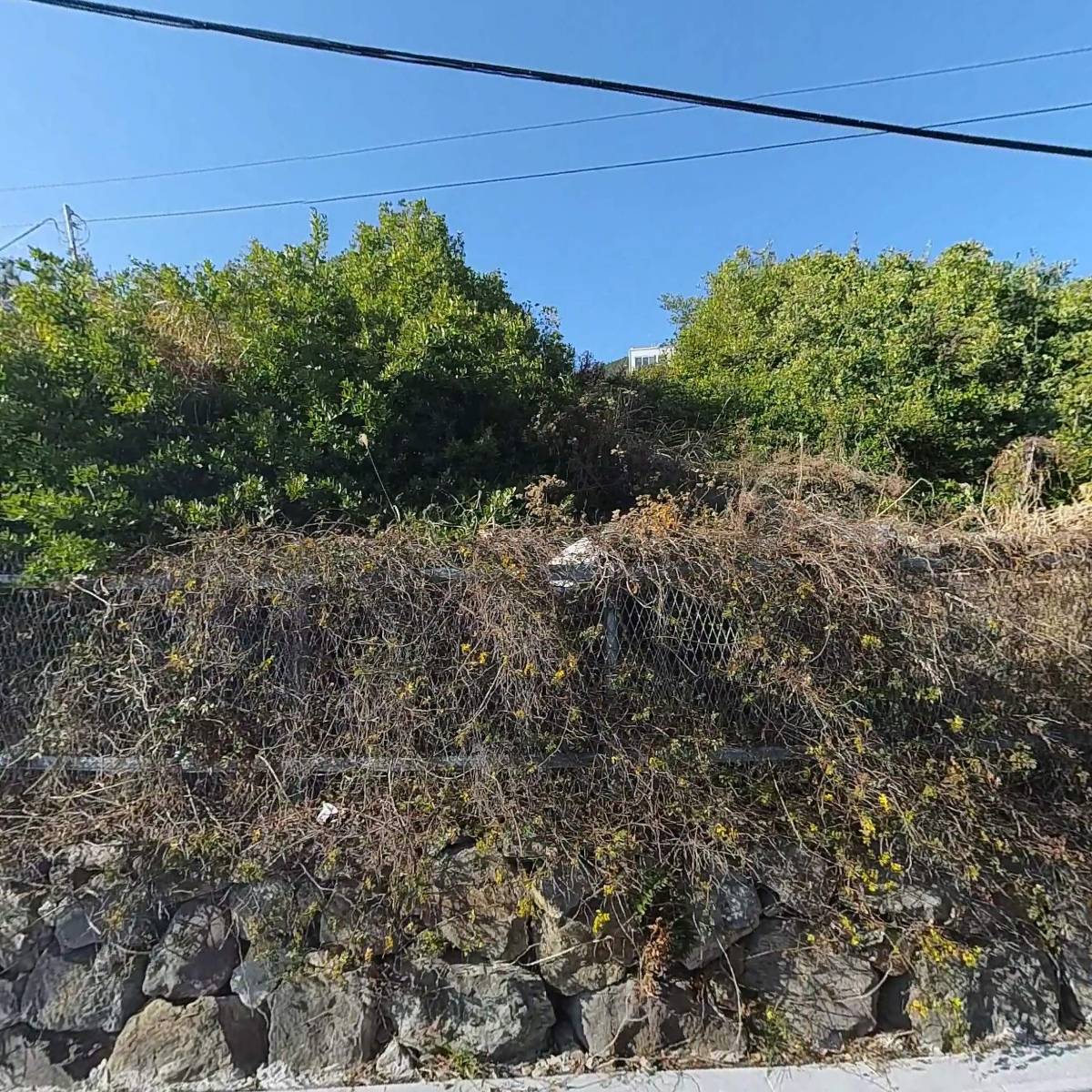 숨비소리