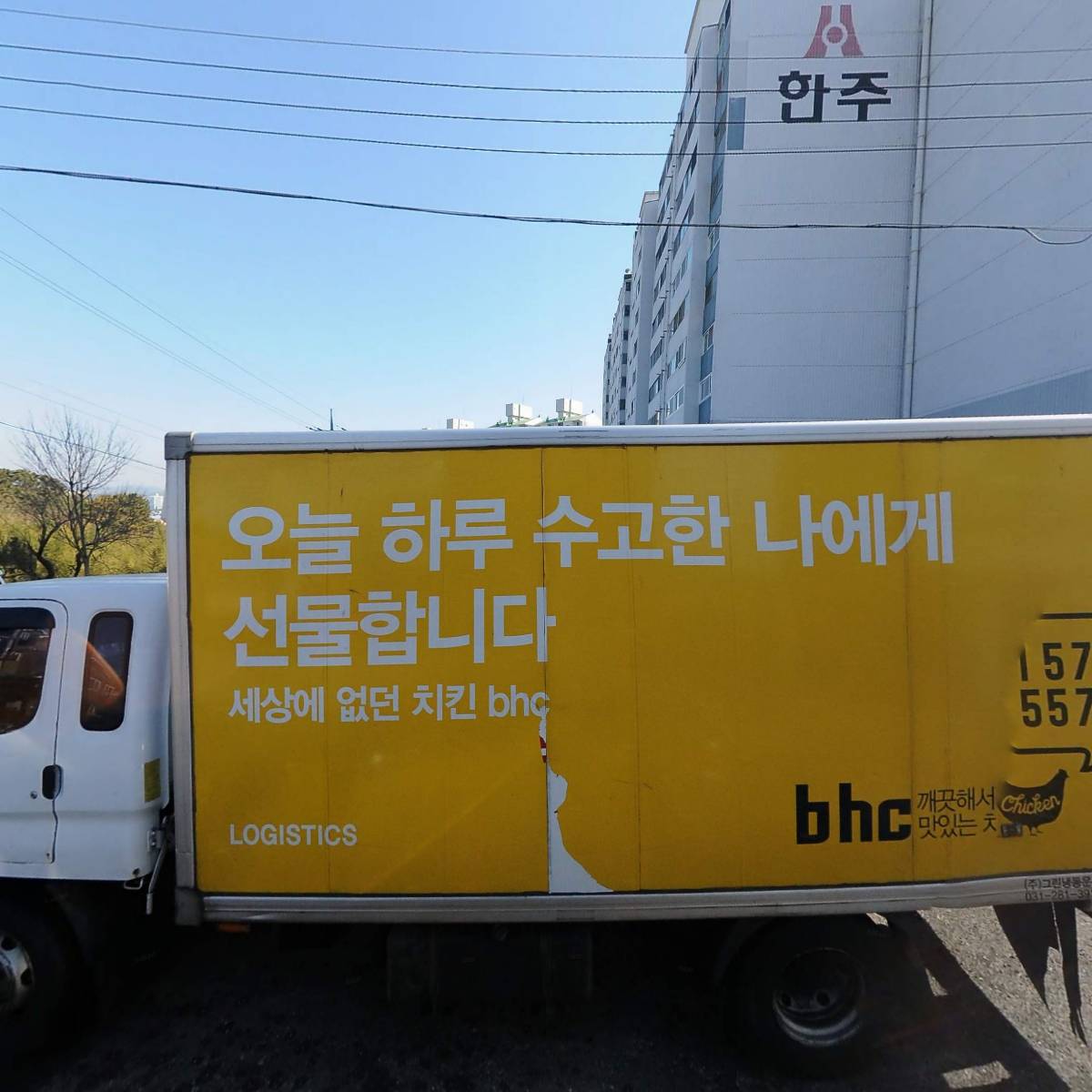 펄디스트릭