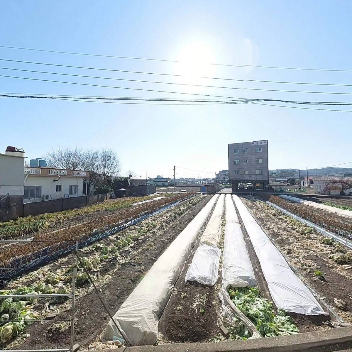 데스미 주식회사 한국지점_3