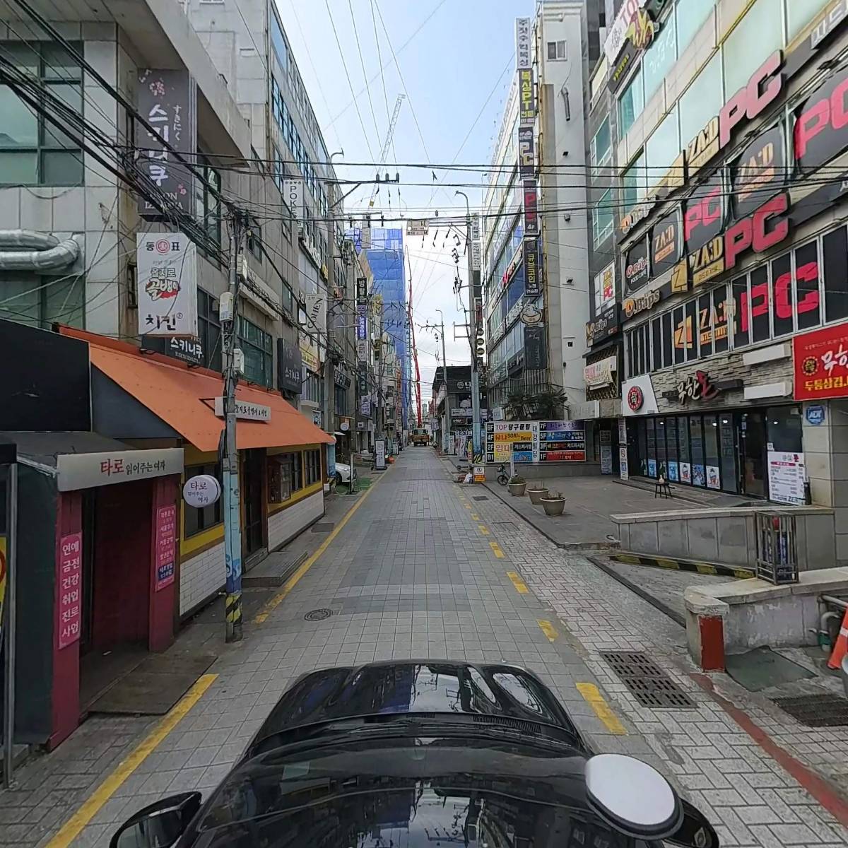 디어코튼_4