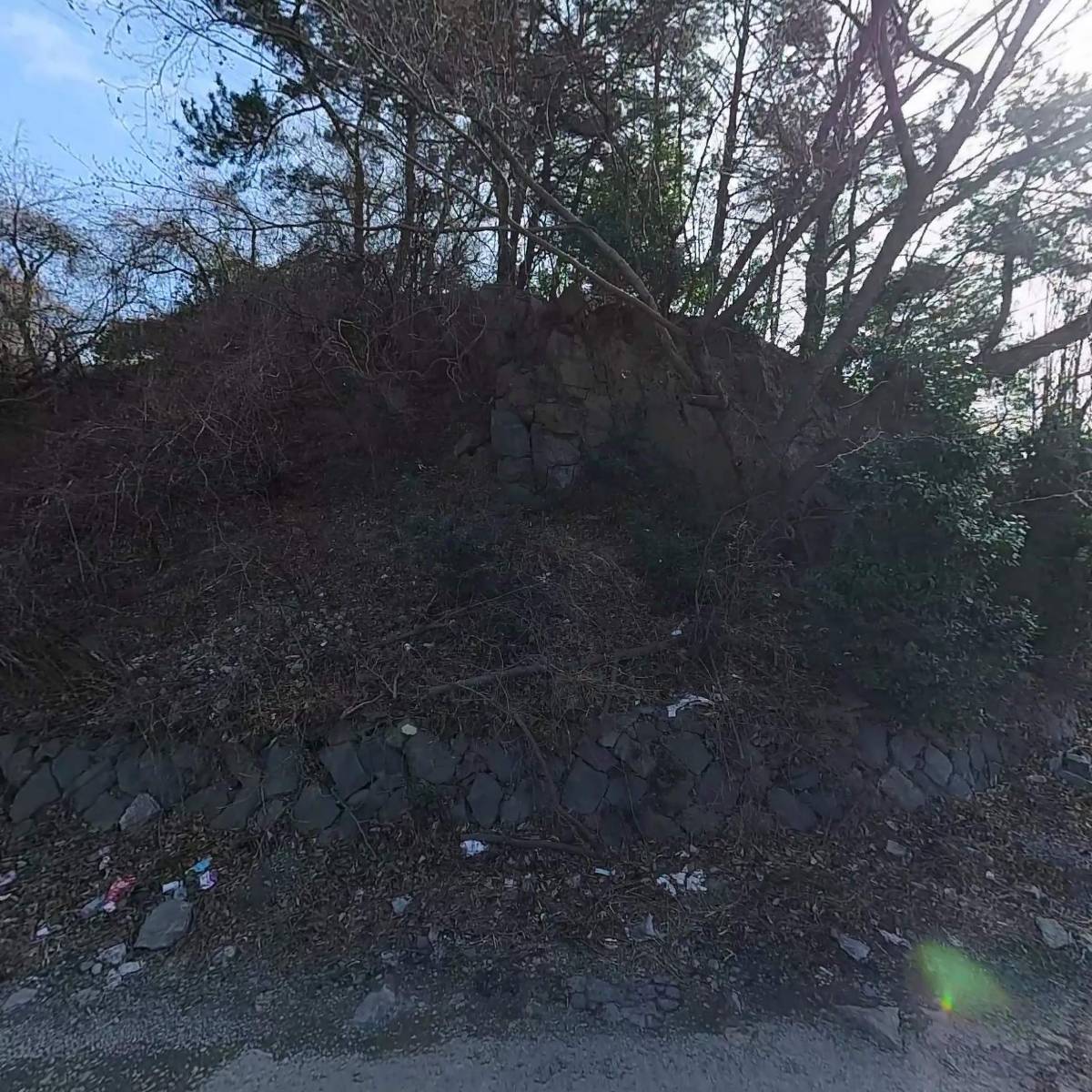 정인교부동산