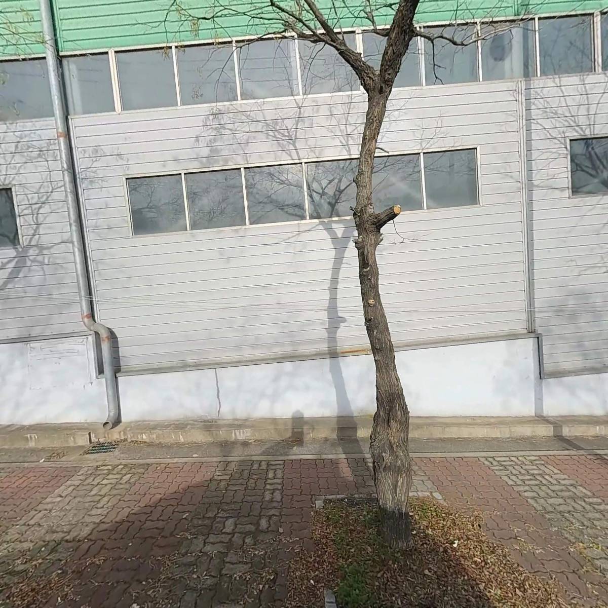 프랑크린오프쇼어코리아(주)