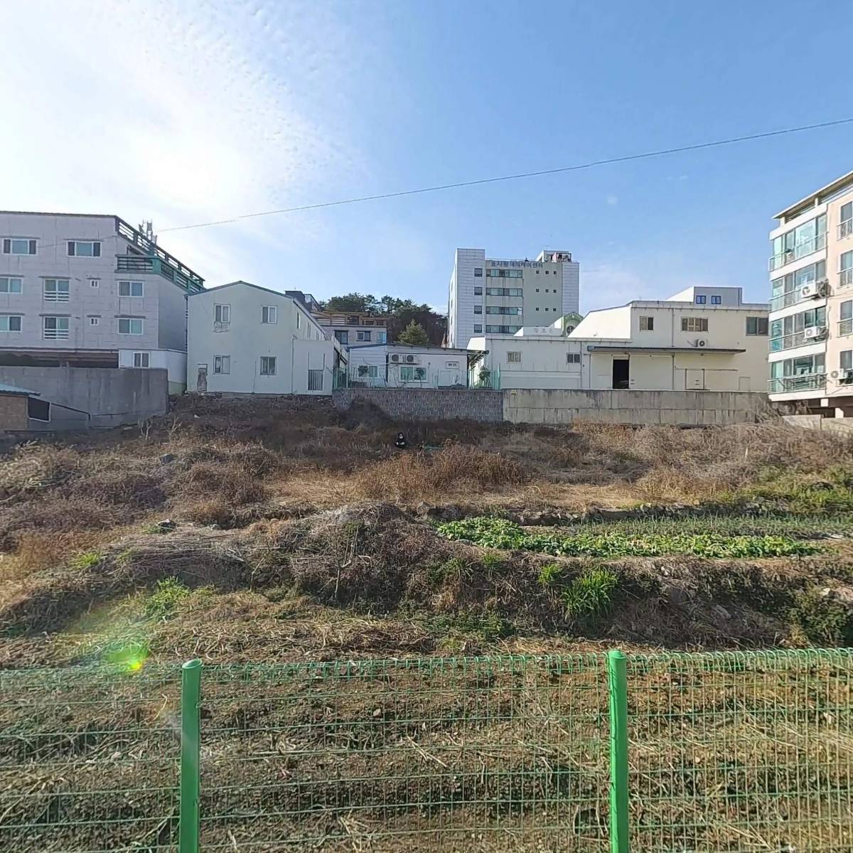 해운대유통