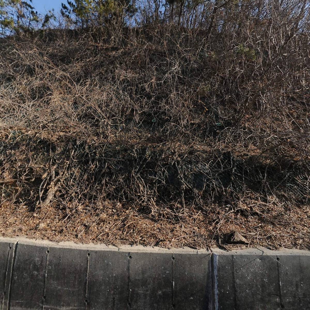 대한산악협회 전남목포시협회_3