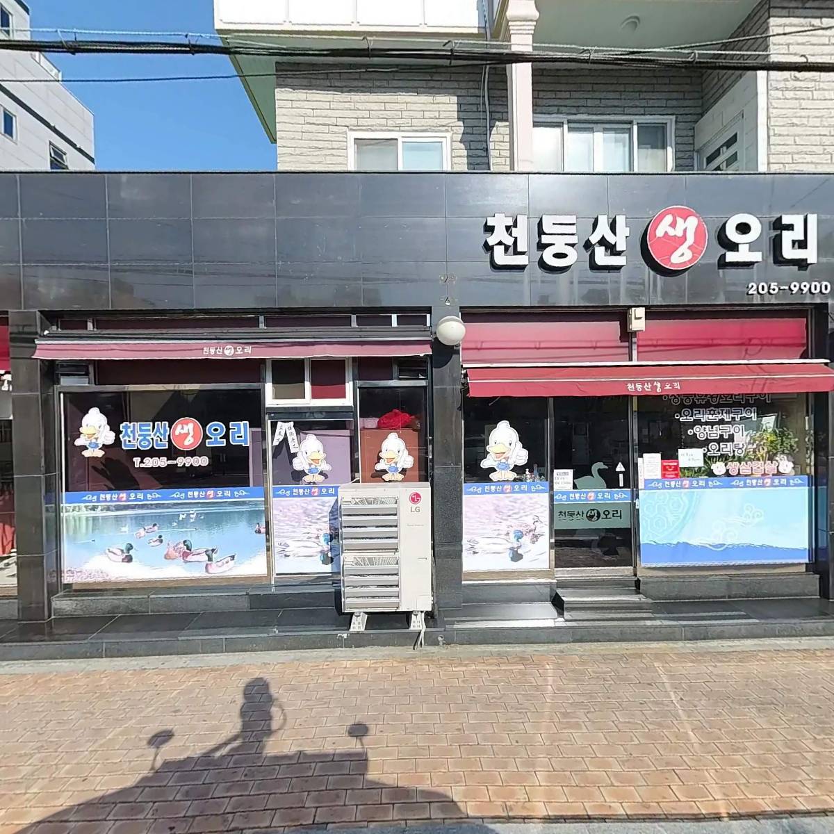 천둥산생오리