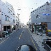 황금돼지_4