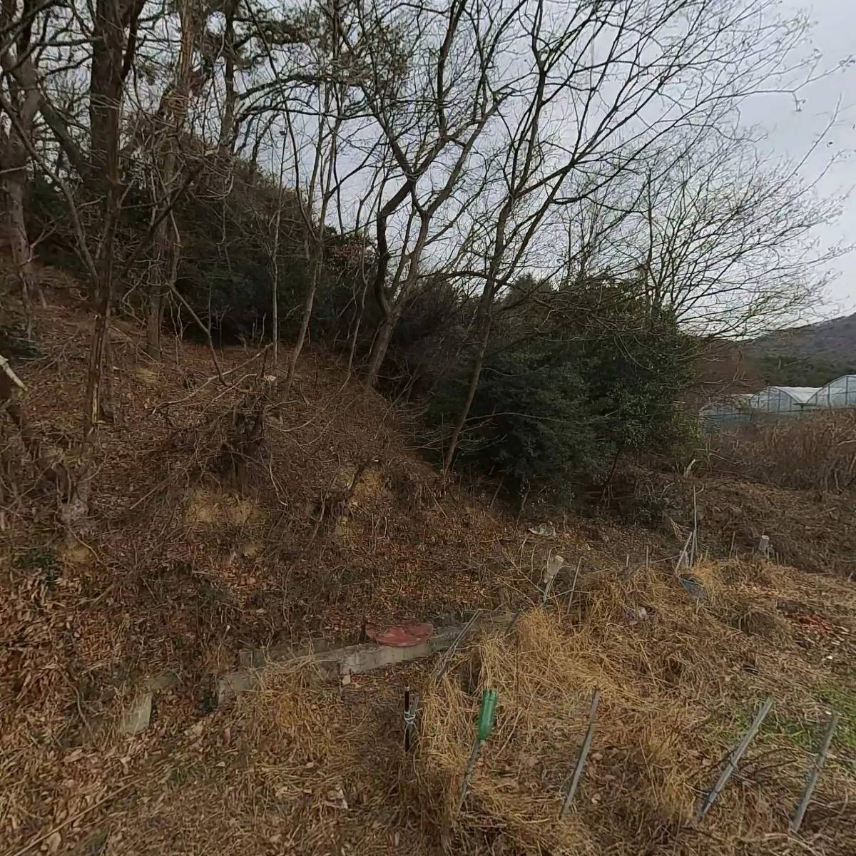 주식회사이지라이프글로벌
