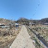 장봉현바이올린_2