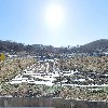 장봉현바이올린_3