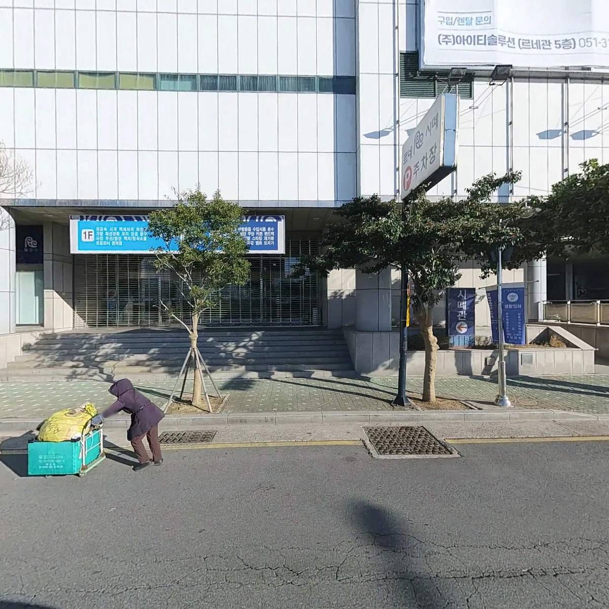 르네시떼