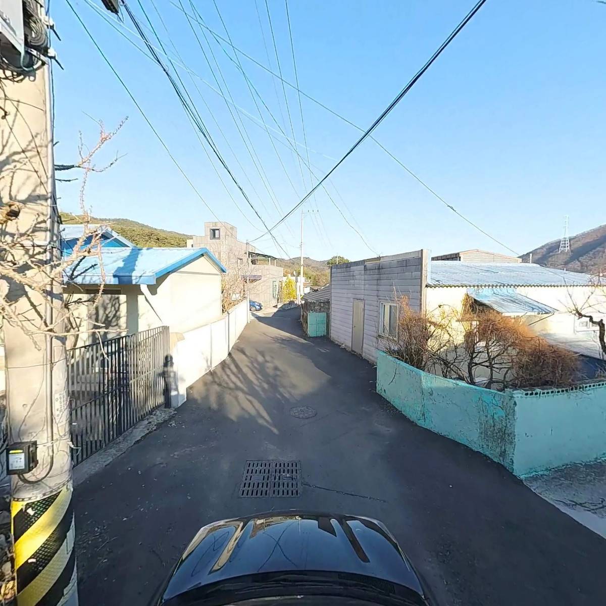 해청_4