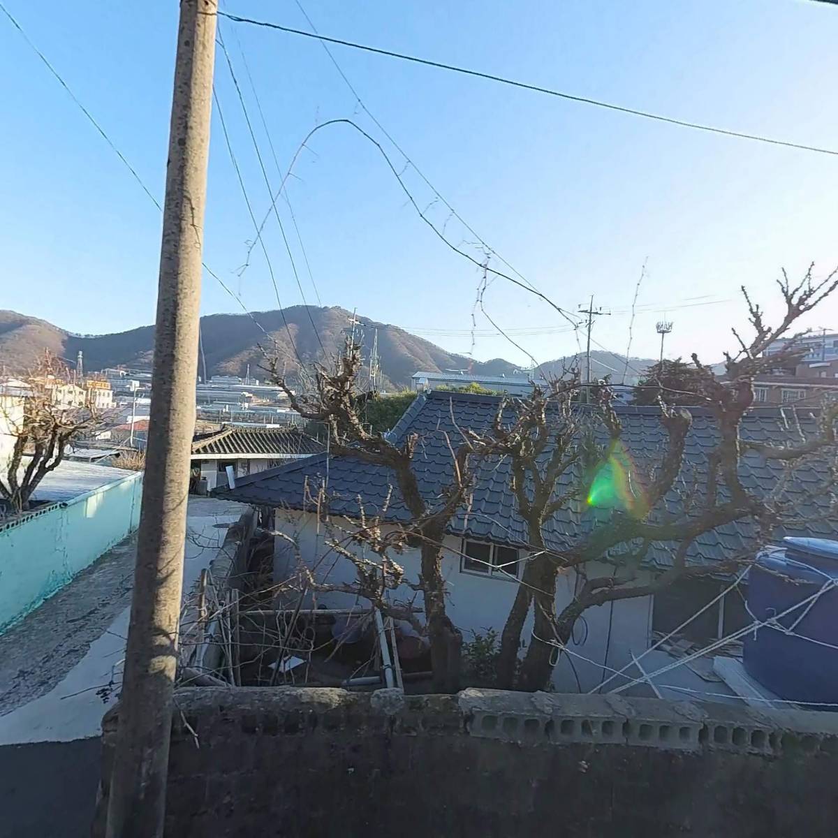 해청