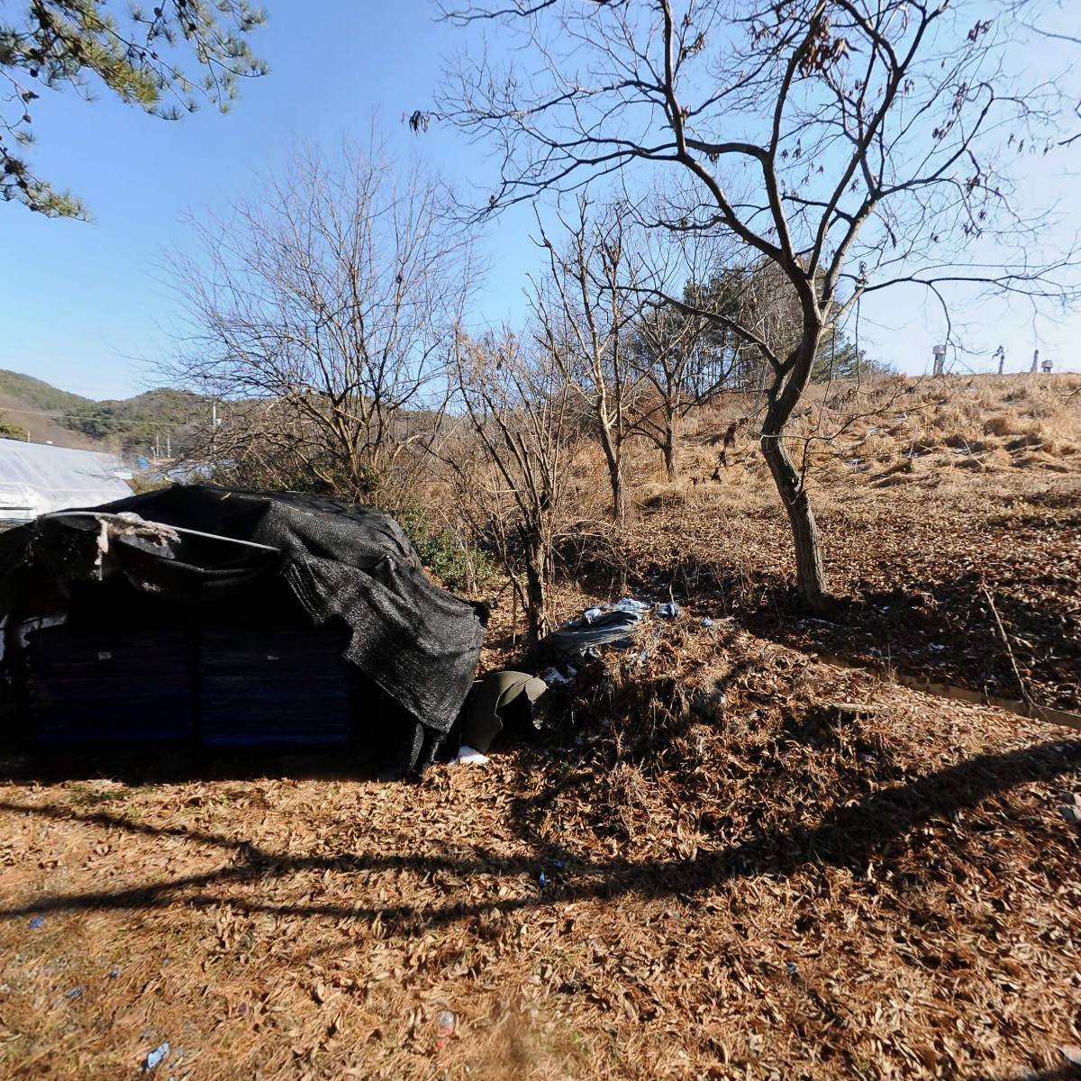 학교법인 국제문화대학원대학교_3