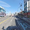 디트리쉬코리아_4