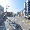 디트리쉬코리아_2