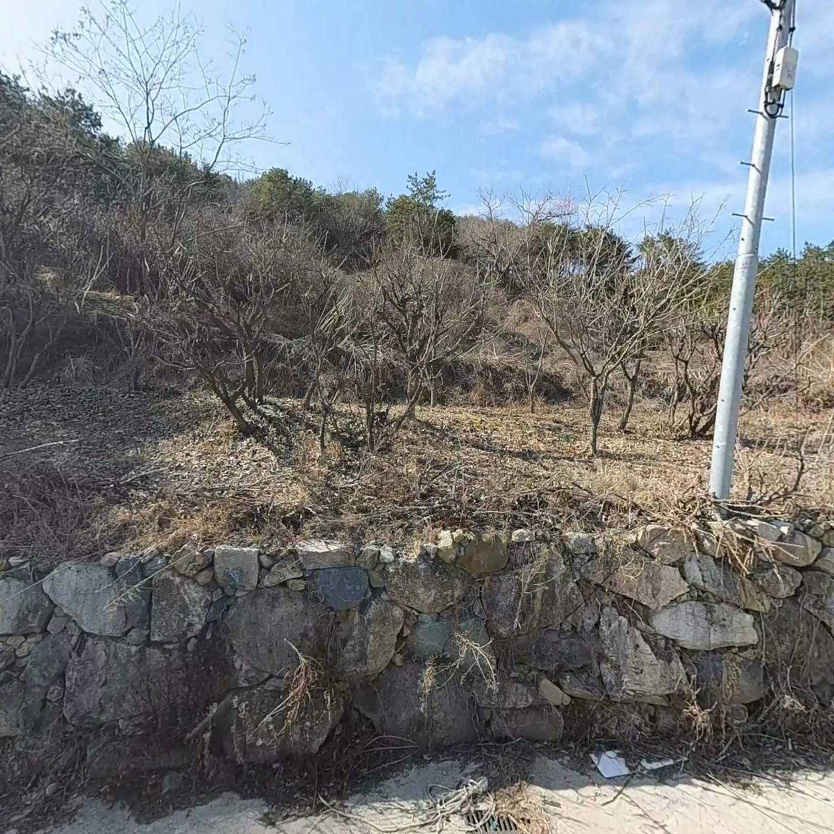 농업회사법인 부자영농주식회사_3
