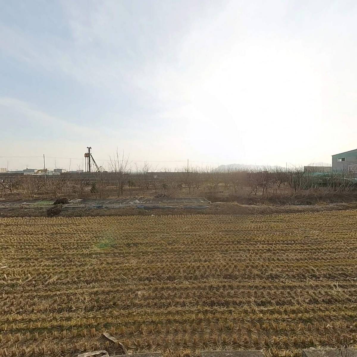 (주)대신화이바