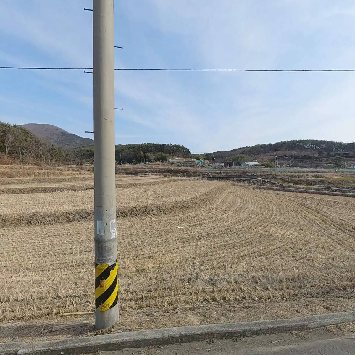 엔디피아