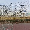 금목운수_3