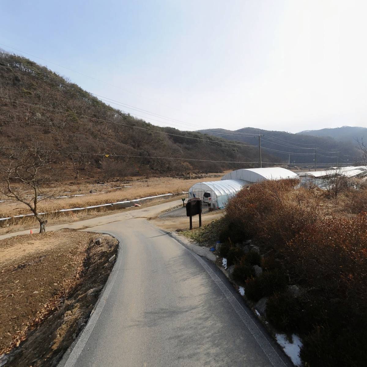 청양 포도공주 농원_2