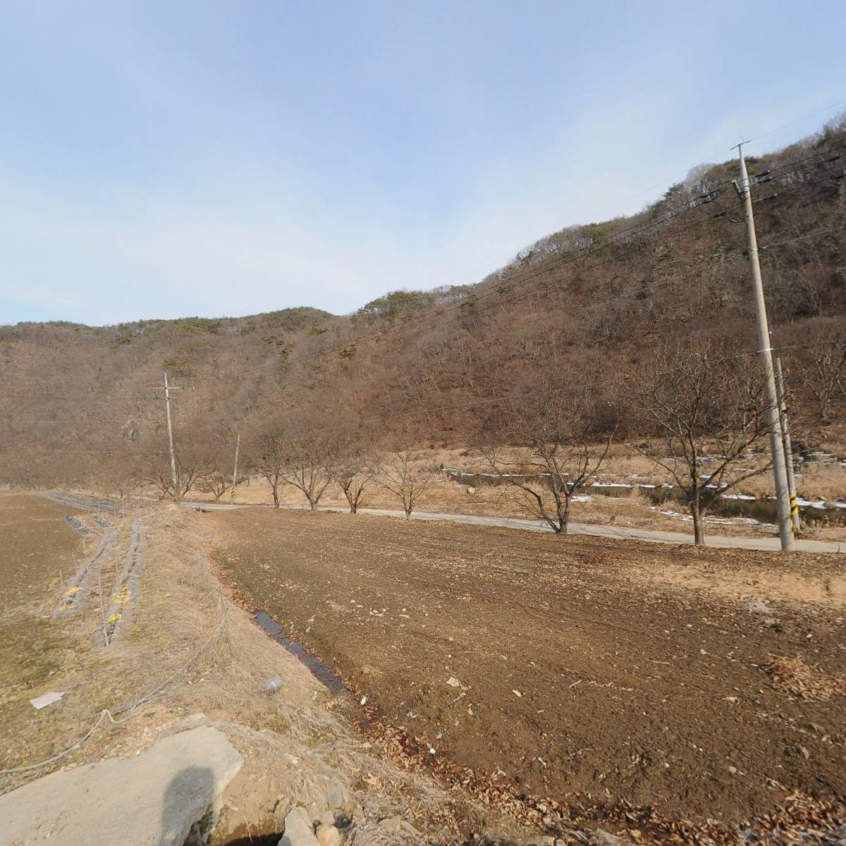청양 포도공주 농원