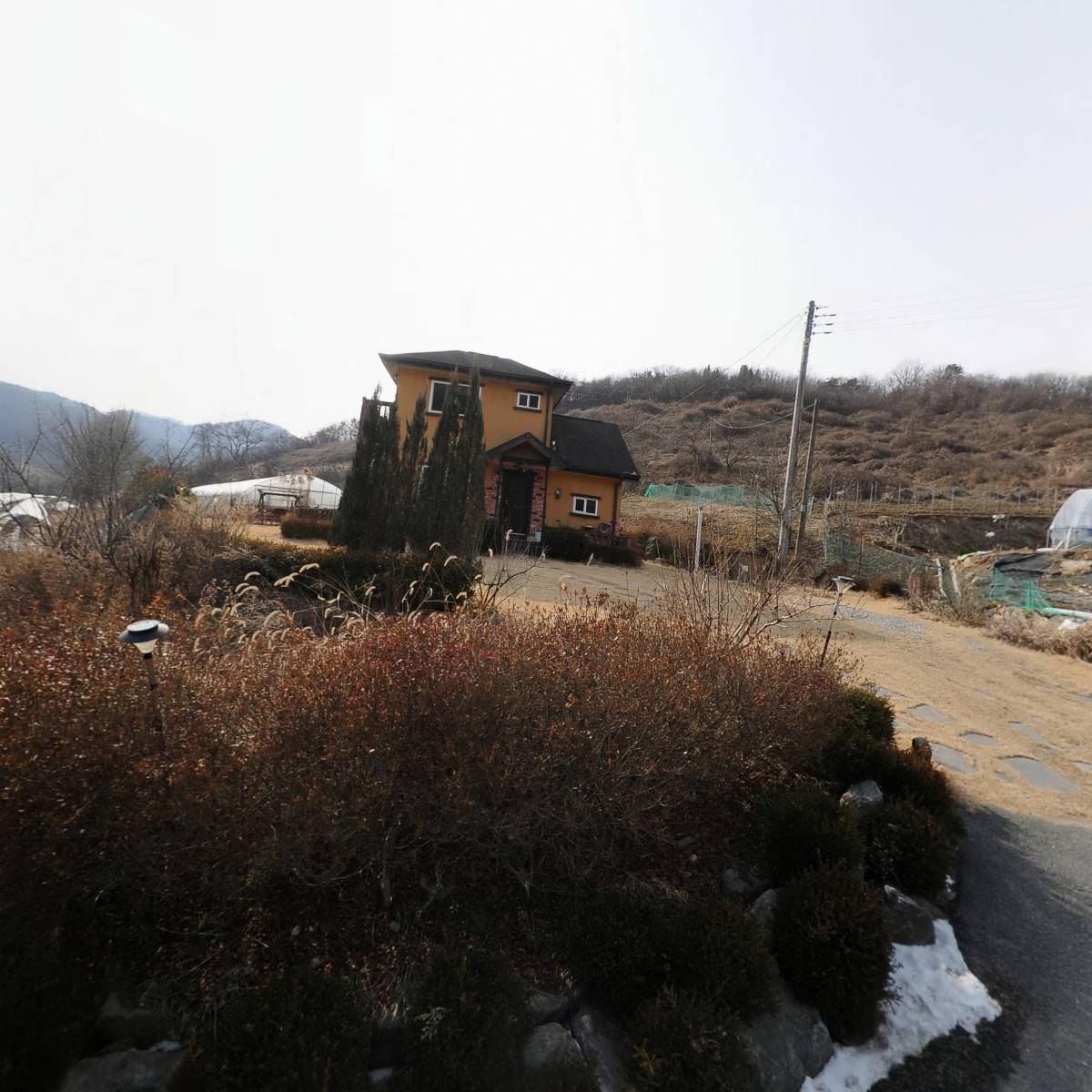 청양 포도공주 농원_3
