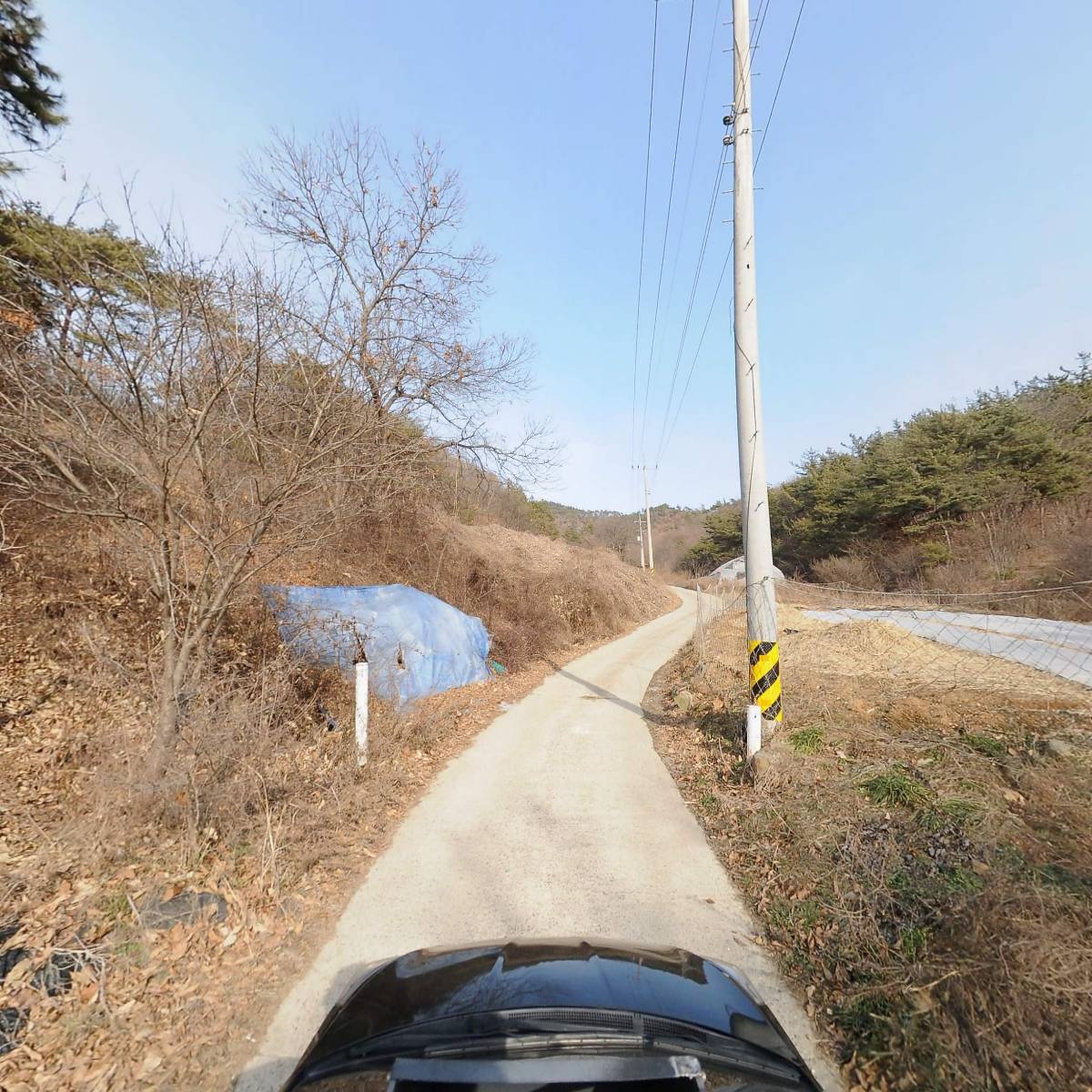 청애농 농업회사법인 주식회사_4