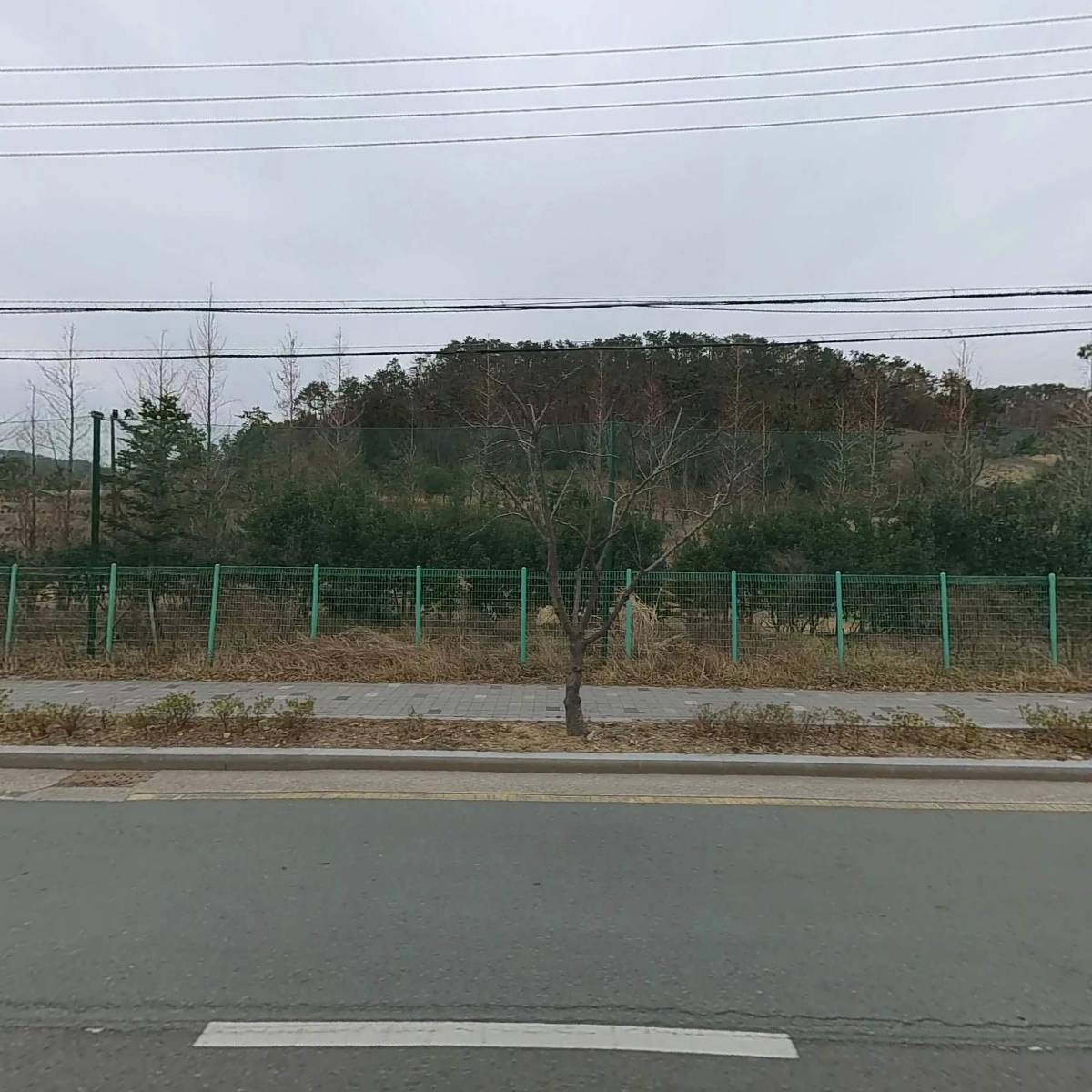 통영수산