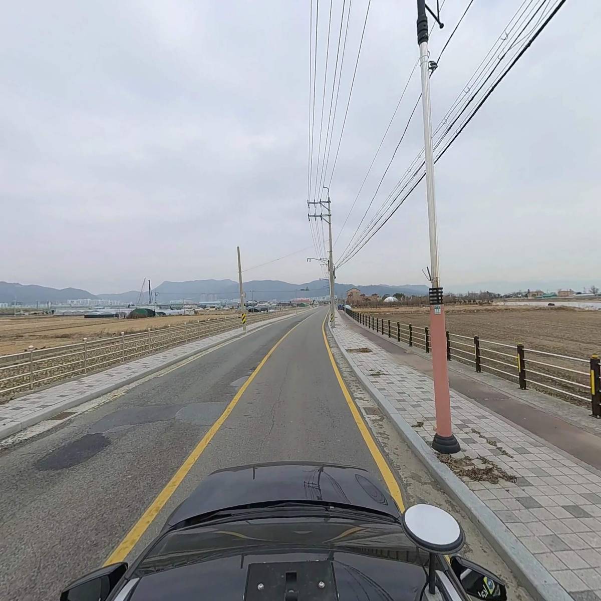 쑥쑥식물병원_4
