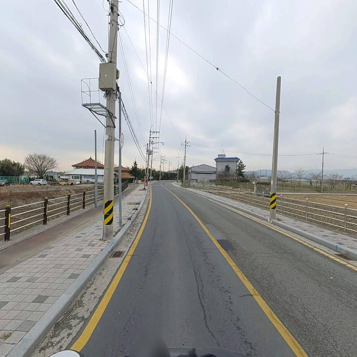 쑥쑥식물병원_2
