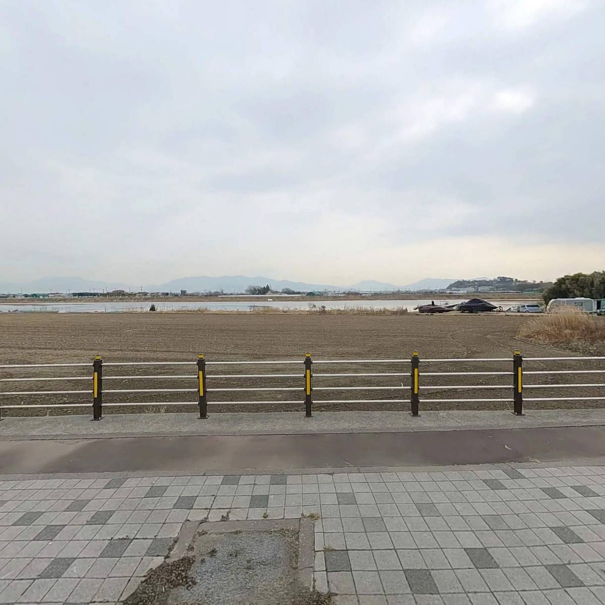 쑥쑥식물병원