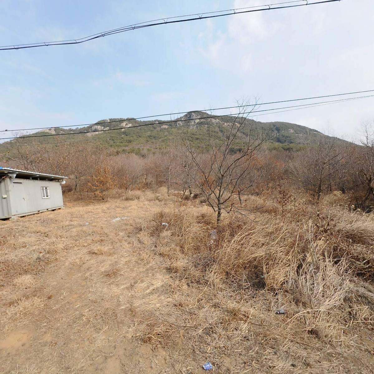 합천 황토펜션숲