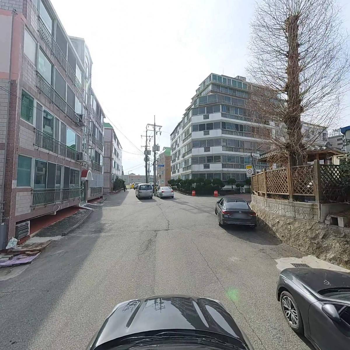 대한민국월남전참전자회 부산광역시지부 기장군지회_4