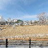 위너스푸드_3