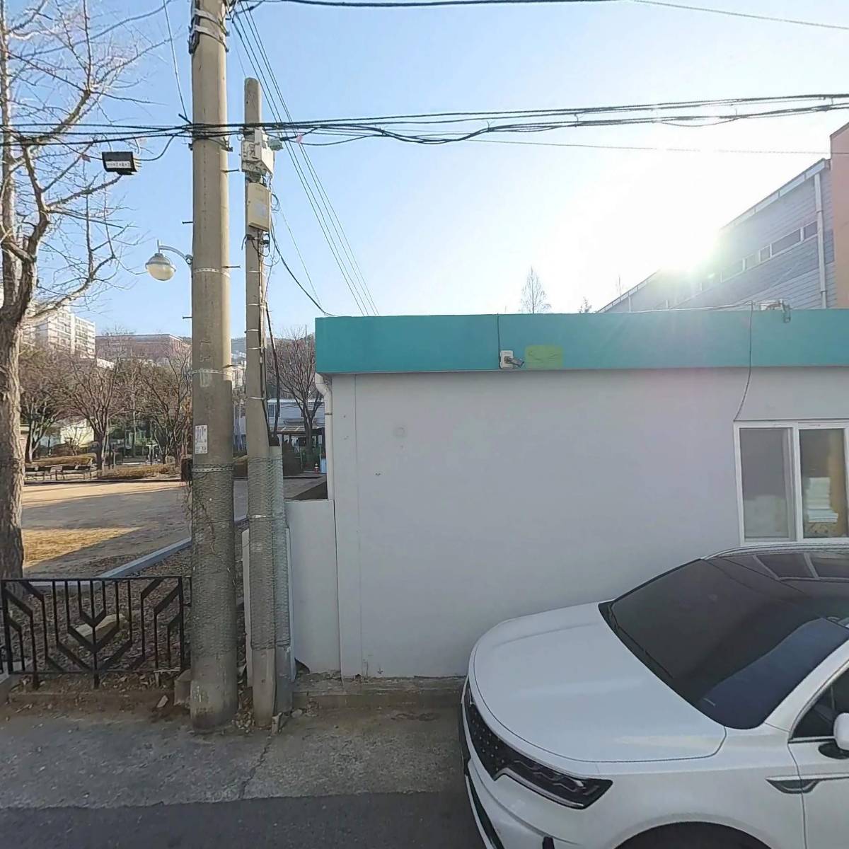 대호금박