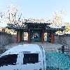 황금물고기_3