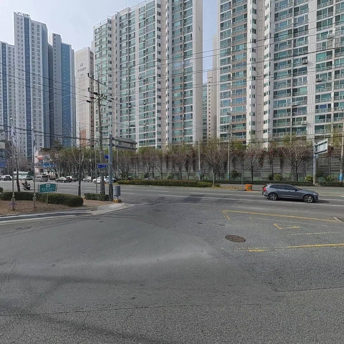 세무회계 금진