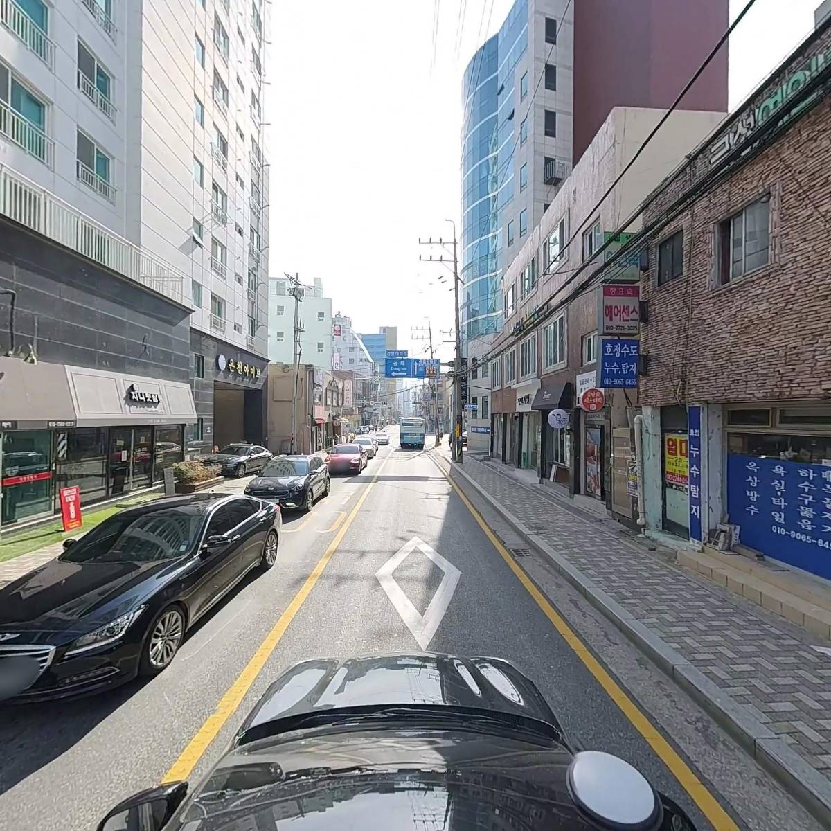 스파애견_4