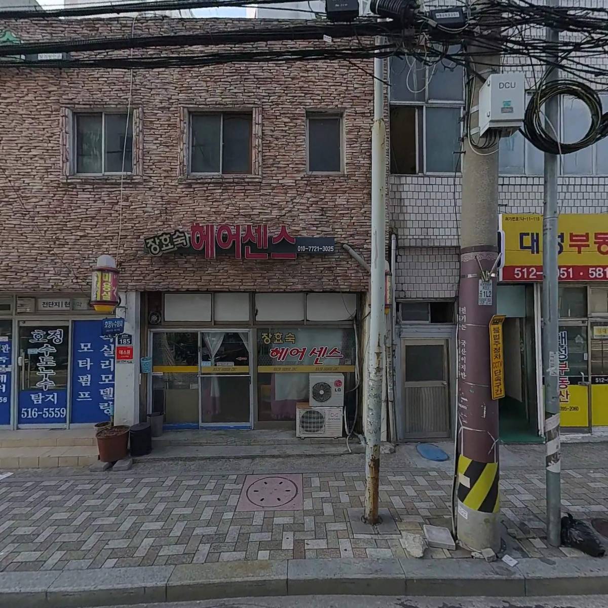 스파애견