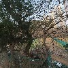 대한불교 조계종 동학사