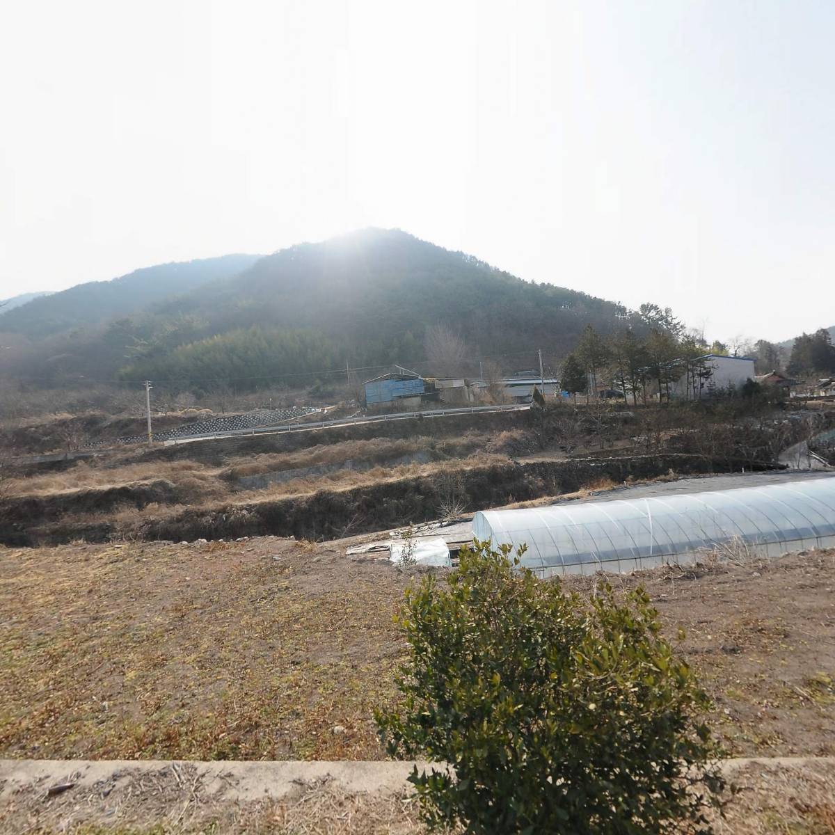 고사리팜농업회사법인 유한회사