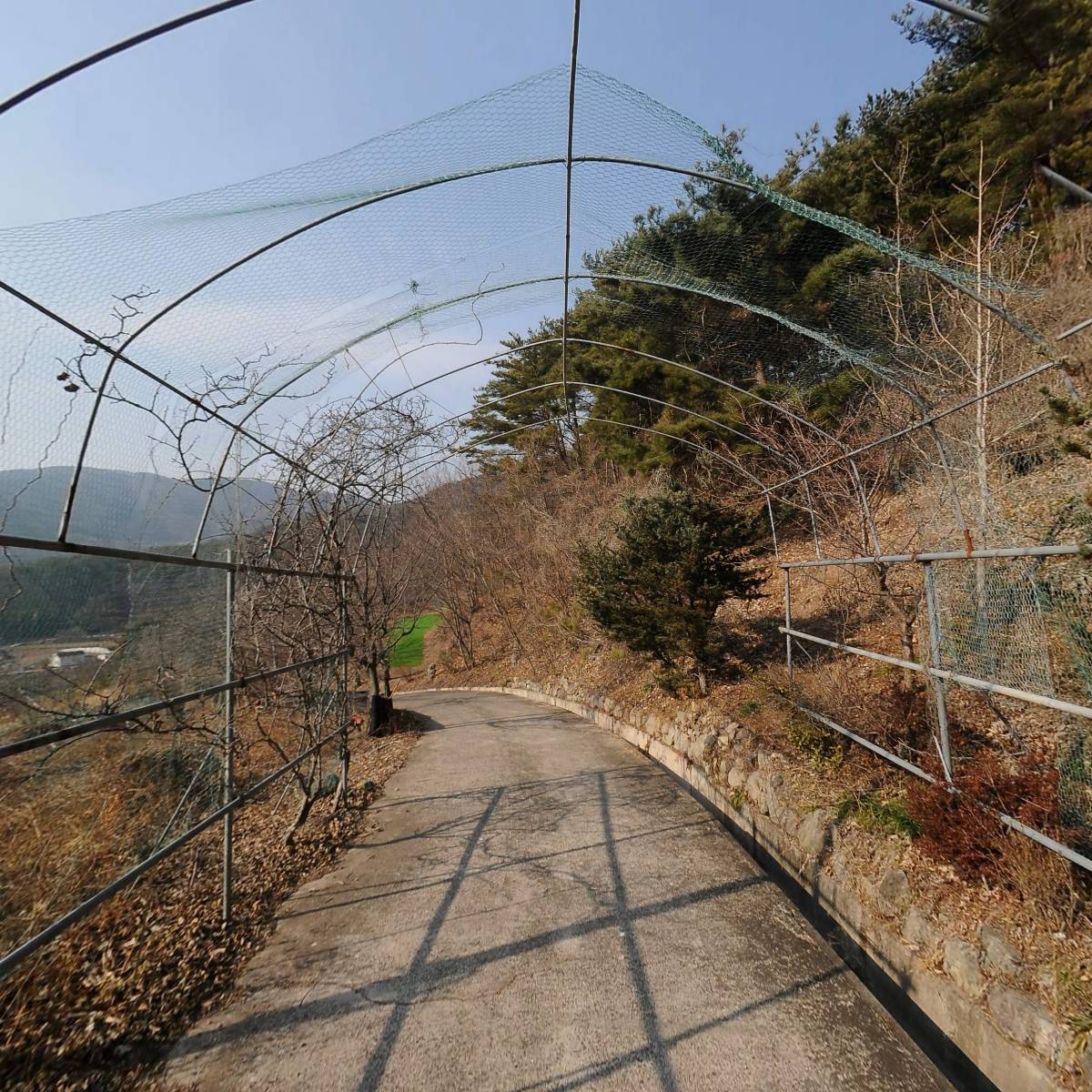 한국불교태고종 법운사_2