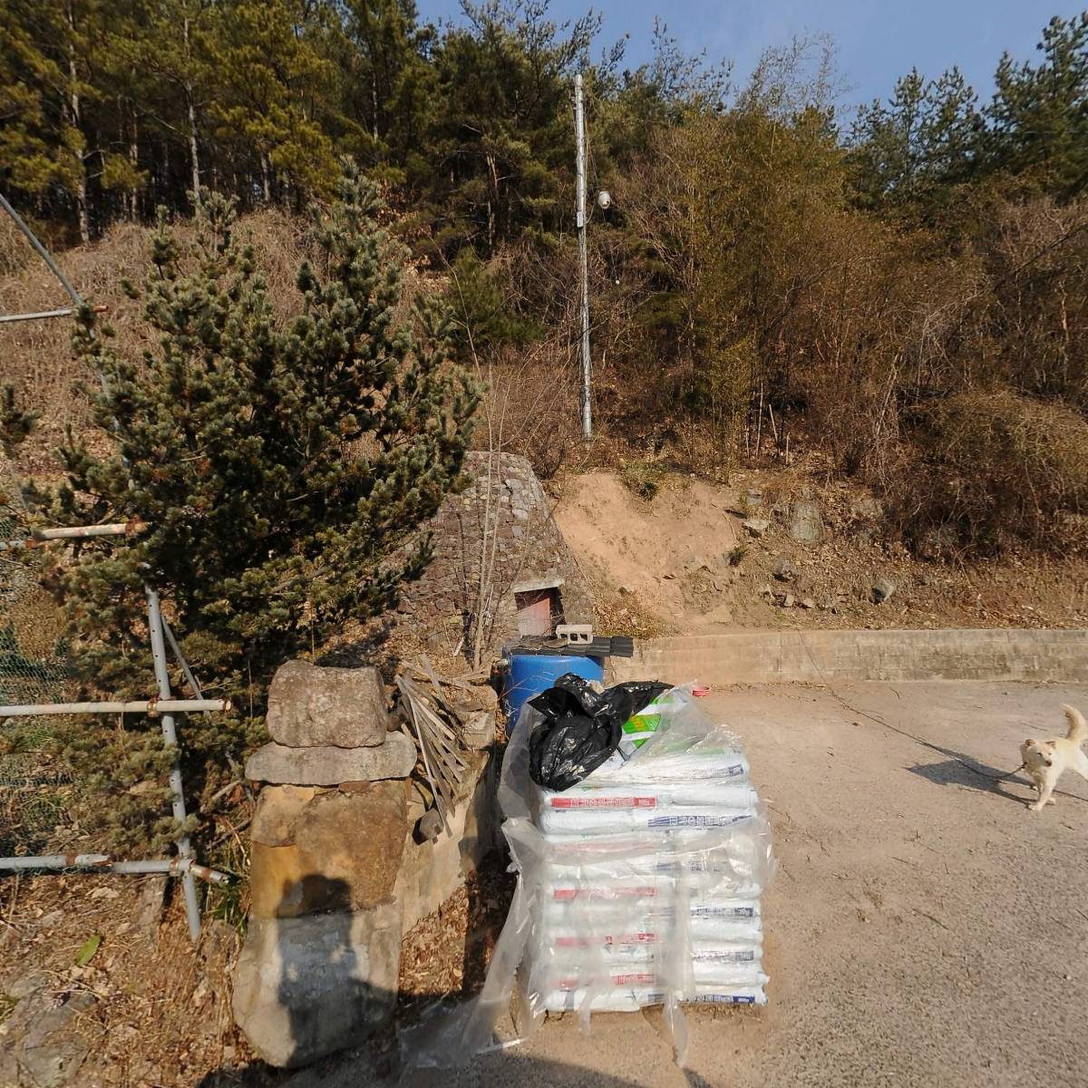 한국불교태고종 법운사_3
