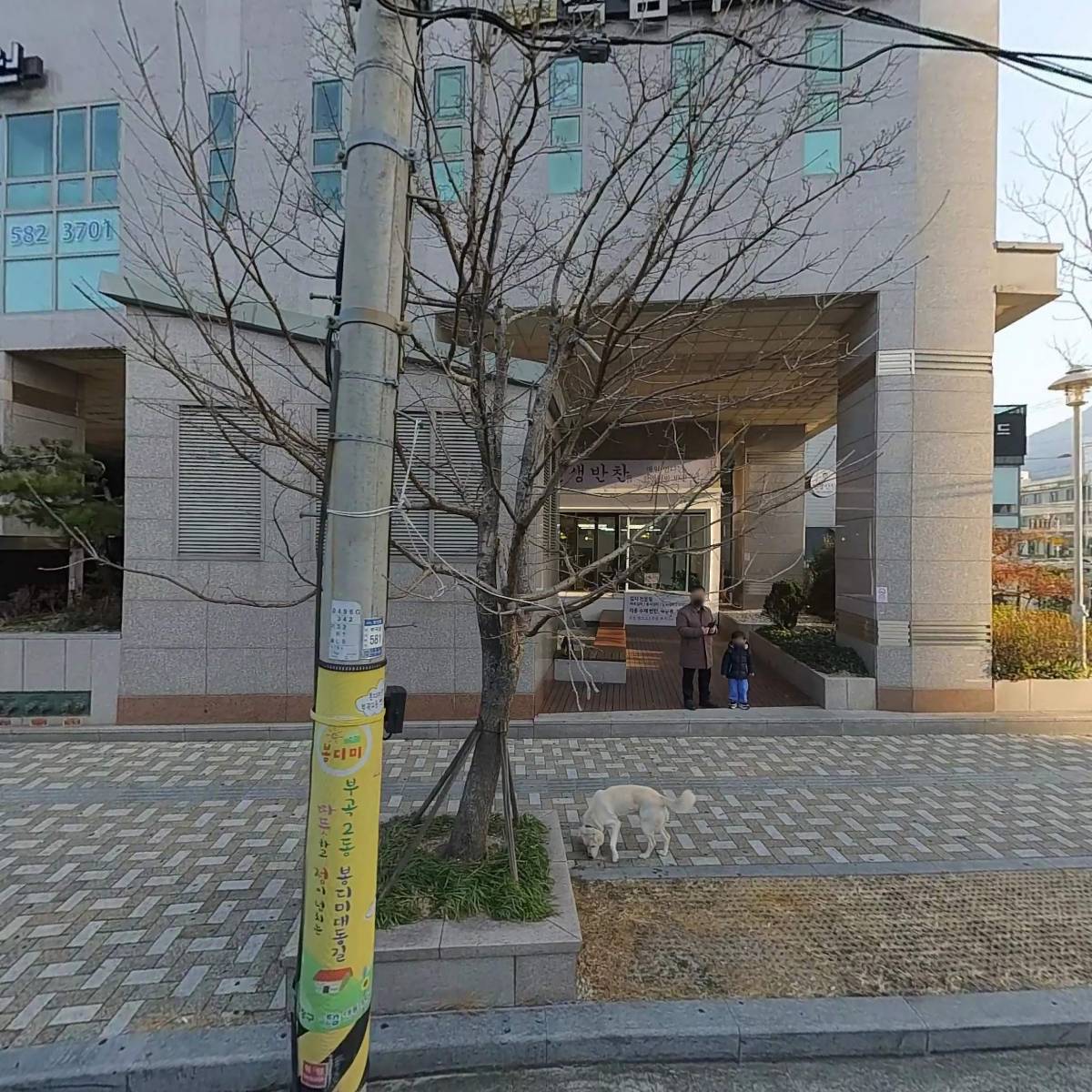 파란대문