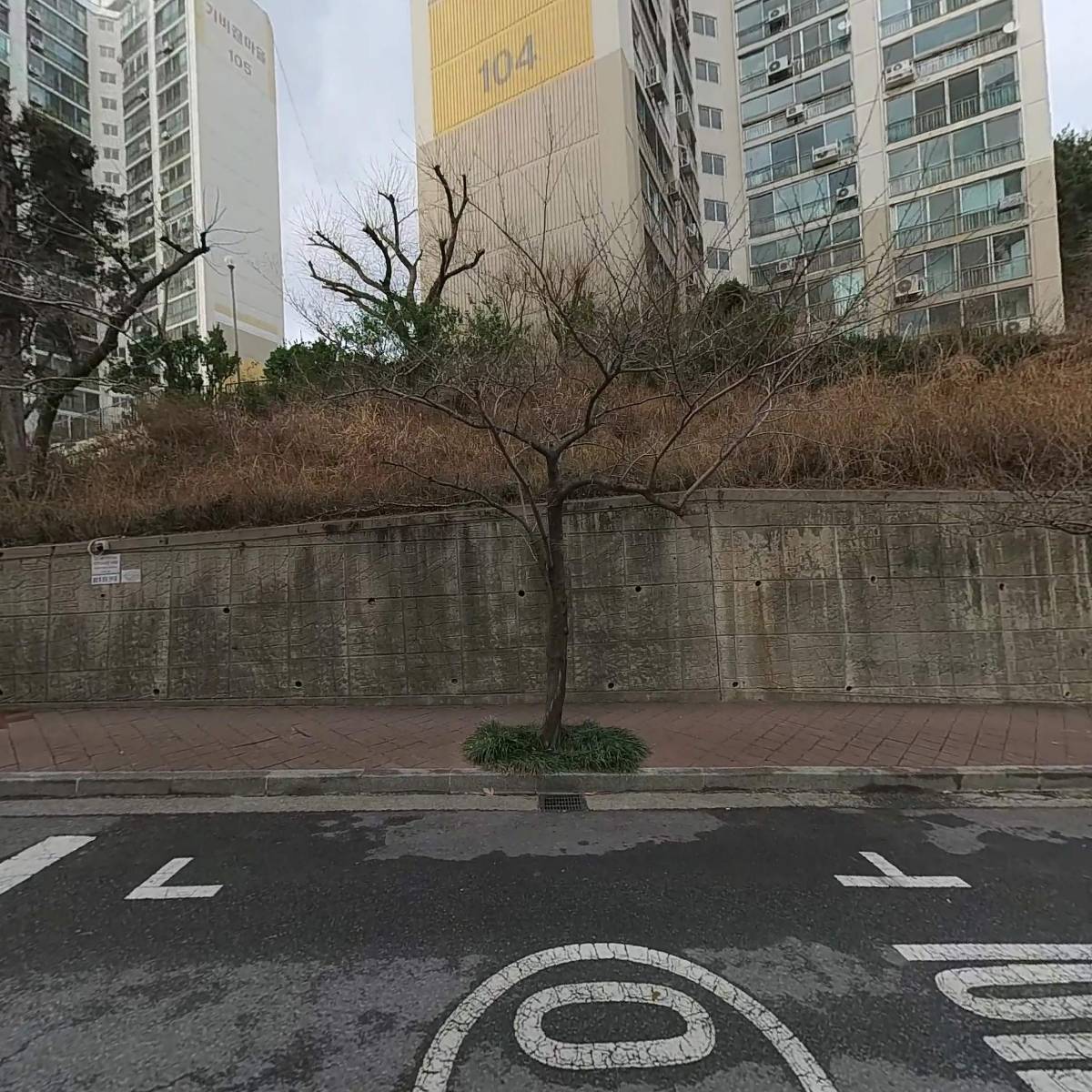 다인중학교 29회 동기회_3